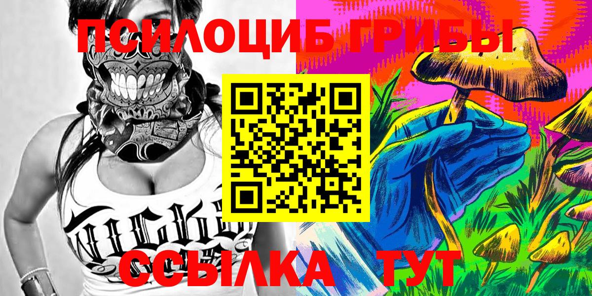 Псилоцибиновые грибы мухоморы Гатчина